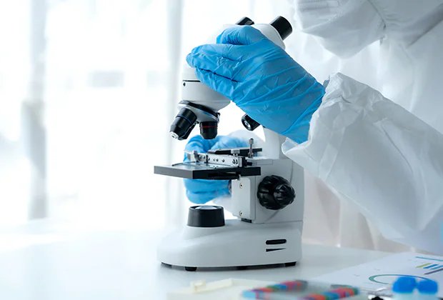 🔬 이와쿠니시 미소생물관(이와쿠니시 미쿠로 세이부츠칸)